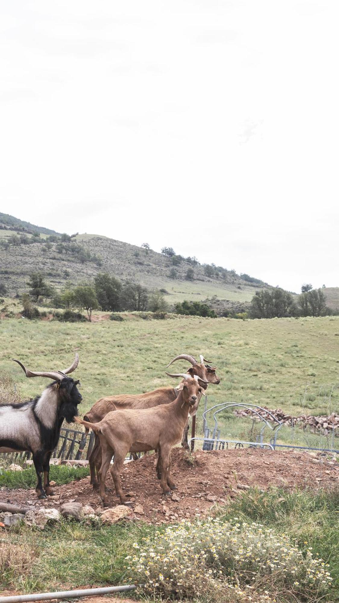 Apartamentos Turisticos Real Valle Ezcaray Zorraquin Luaran gambar